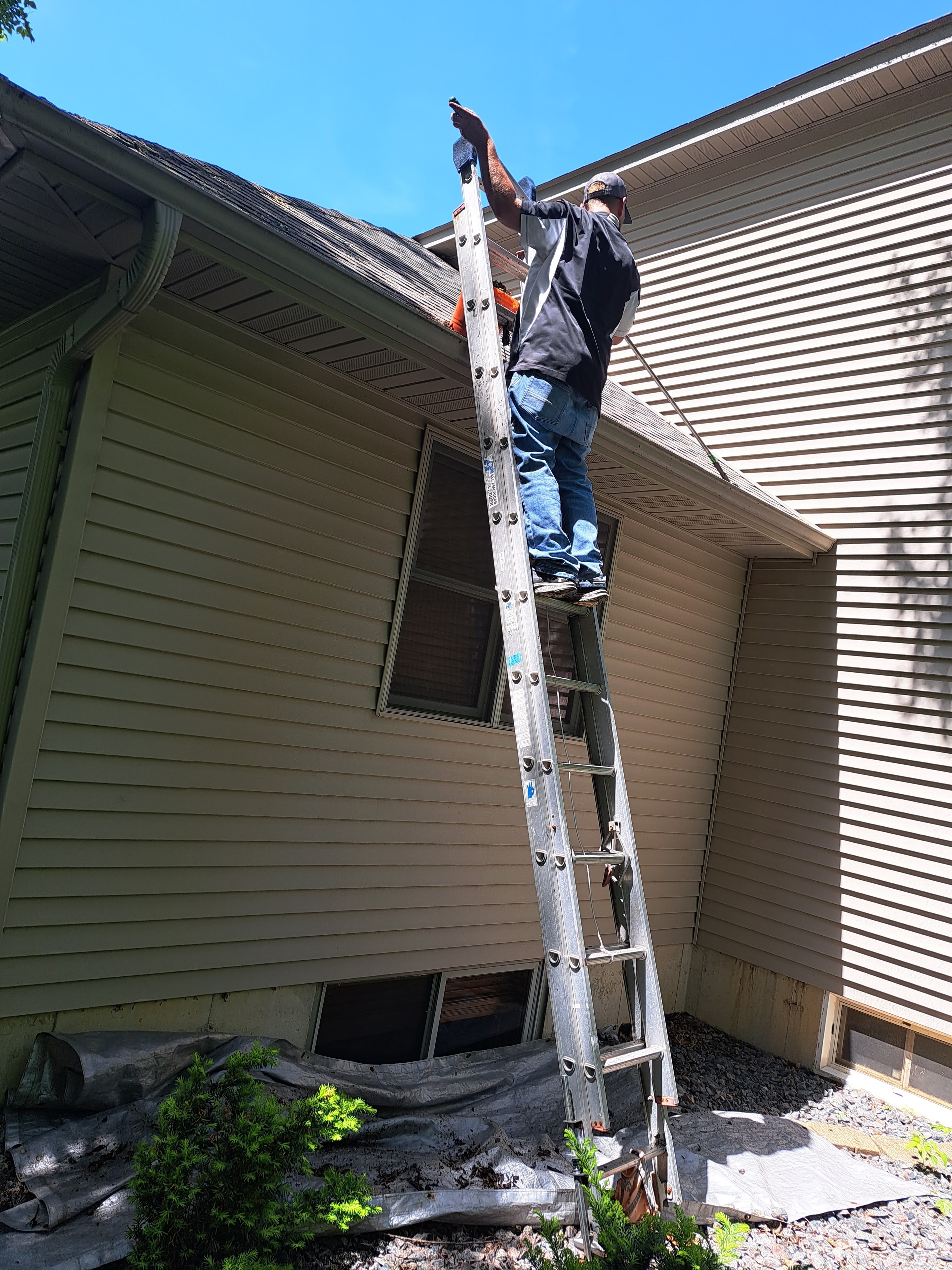 Andrew Pope cleaning gutters on a ladder — Pope's Window Cleaning