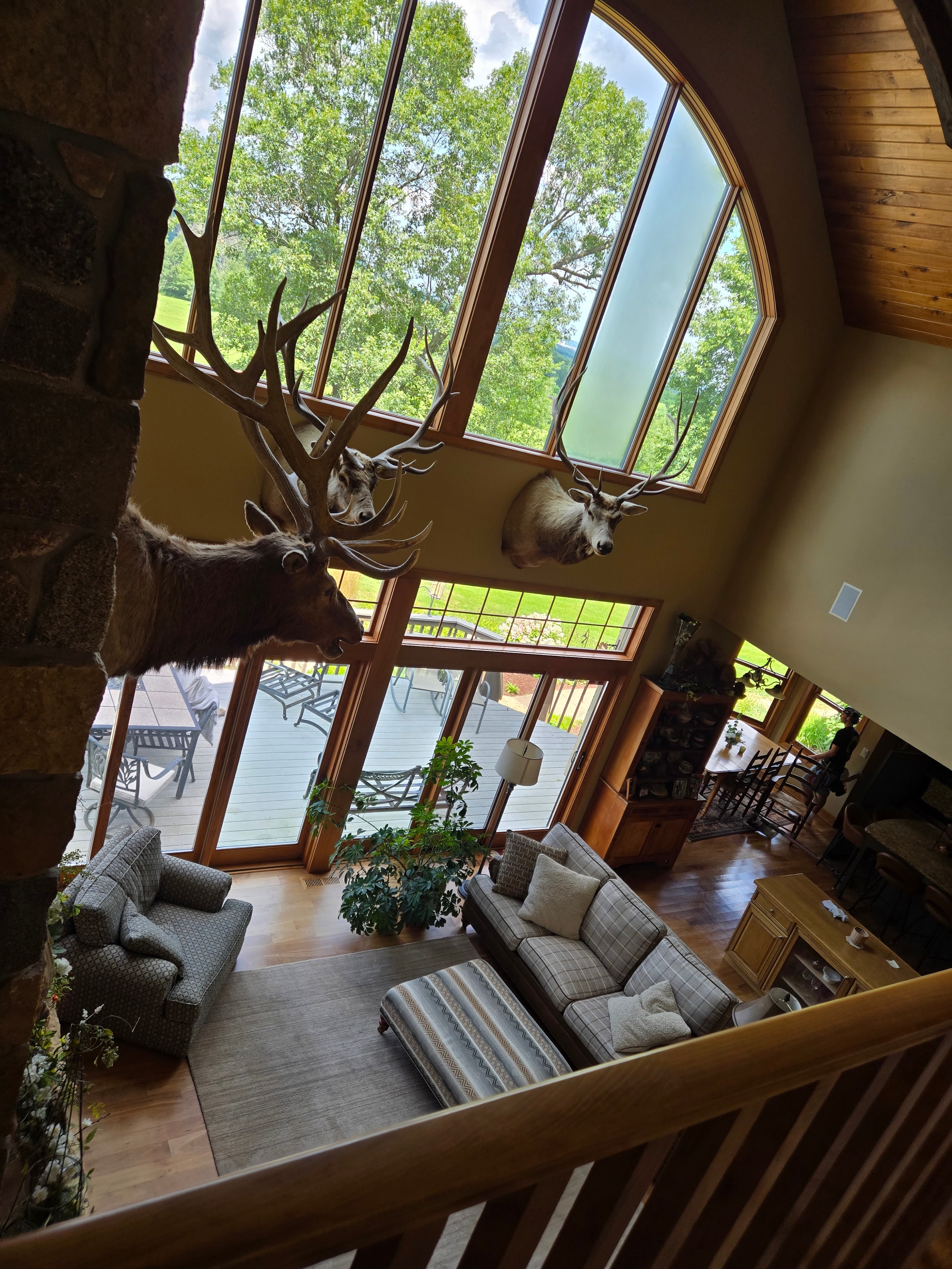 Large interior windows — Pope's Window Cleaning